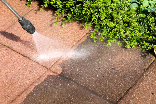 Best Exterior Home Cleaning  in Muse, PA